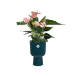 vibes fold coupe 14cm diepblauw